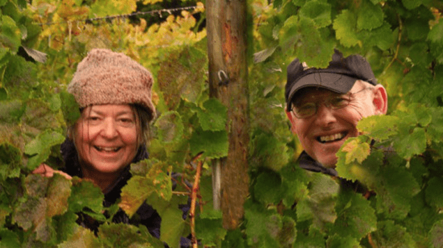 Screen Shot 2018-06-17 at 9.48.24 AM